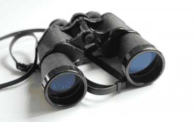 WordPress website analyse: Hoe staat je site ervoor?