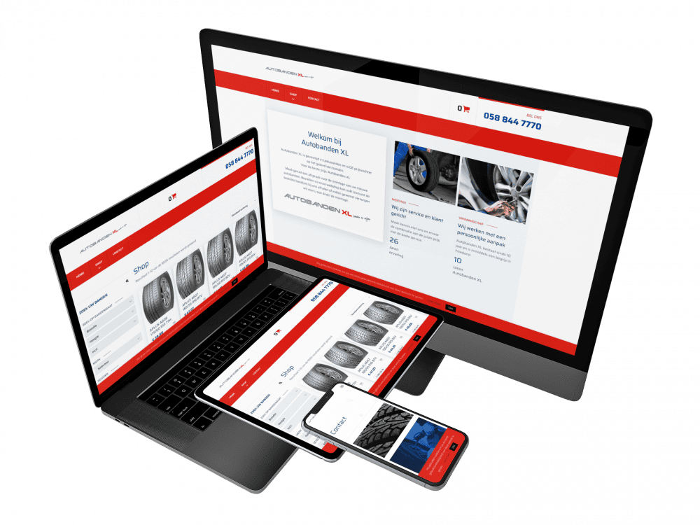 WordPress website in Sneek