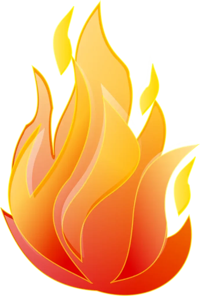 Support Spoed Dezelfde dag