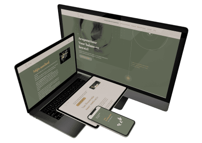 Qi long – acupunctuur