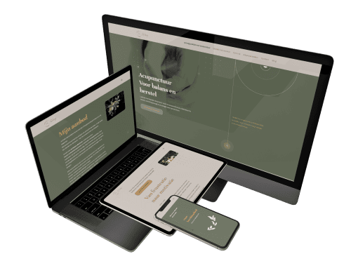 Qi long – acupunctuur