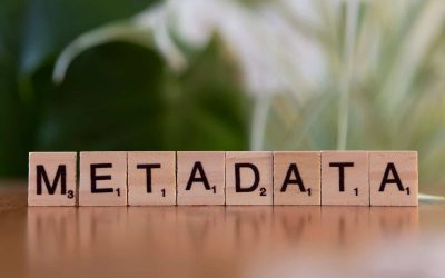 Verwijder ongebruikte metadata in WordPress | Database & SEO optimalisatie
